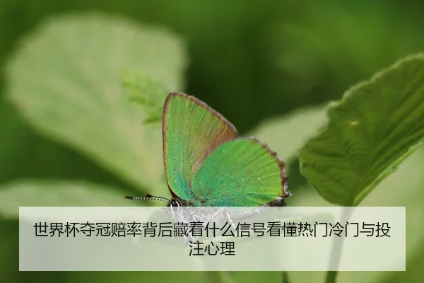 shi-jie-bei-duo-guan-pei-lv-bei-hou-cang-zhe-shen-me-xin-hao-kan-dong-re-men-leng-men-yu-tou-zhu-xin-li-2-815.jpg